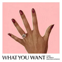 What You Want - Single by SNBRN, Dr. Fresch & Malcolm Anthony album reviews, ratings, credits