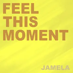 Feel This Moment (Take On Me Extended) Song Lyrics