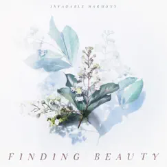 Finding Beauty by Invadable Harmony album reviews, ratings, credits