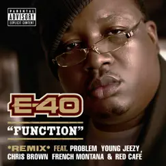 Function (Remix) [feat. Problem, Jeezy, Chris Brown, French Montana & Red Cafe] - Single by E-40 album reviews, ratings, credits