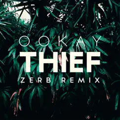 Thief (Zerb Remix) Song Lyrics