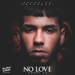 No Love - Single by Anuel AA album reviews, ratings, credits