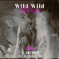 Wild Wild Horses (feat. Jay Sean & Pitbull) [Remixes] by Lotus & Antonia album reviews, ratings, credits