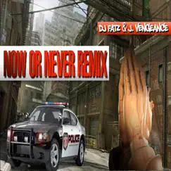 Now or Never (Remix) - Single by DJ Fatz & J. Vengeance album reviews, ratings, credits