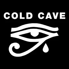 Promised Land - Single by Cold Cave album reviews, ratings, credits