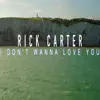 I Don't Wanna Love You - Single album lyrics, reviews, download