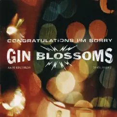 Congratulations I'm Sorry by Gin Blossoms album reviews, ratings, credits