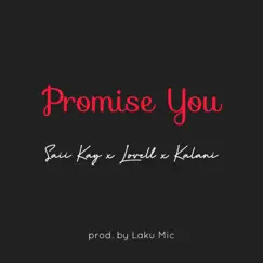 Promise You (feat. Lovell & Kalani) - Single by Saii Kay album reviews, ratings, credits