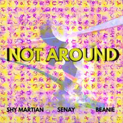 Not Around (feat. Beanie & Senay) Song Lyrics