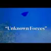 Unknown Forces - Single album lyrics, reviews, download