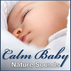 Peaceful Native American Flute Lullaby & Ocean for New Borns, Infants & Moms Song Lyrics