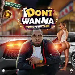 I Don't Wanna - Single by Tempracha album reviews, ratings, credits