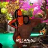 Melanin - Single album lyrics, reviews, download