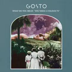 What Do You Mean 'You Need a Colour TV' by GOSTO album reviews, ratings, credits
