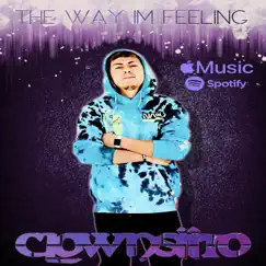 The Way I'm Feeling - Single by Clownsiito album reviews, ratings, credits