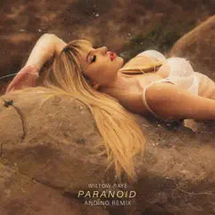 Paranoid (Remix) - Single by Willow Raye & Andino album reviews, ratings, credits