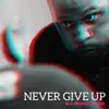 Never Give Up (Big Nickel Remix) - Single album lyrics, reviews, download