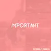 Important (feat. Charlie J) - Single album lyrics, reviews, download