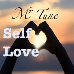 Self Love - Single by Mr.Tune album reviews, ratings, credits