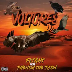 Vultures (feat. Phenom the Icon) Song Lyrics