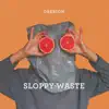 Sloppy Waste - Single album lyrics, reviews, download