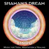 Bindu: Music for Yoga, Meditation & Healing by Shaman's Dream album lyrics