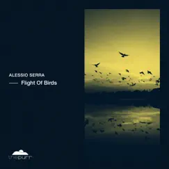 Flight of Birds - Single by Alessio Serra album reviews, ratings, credits