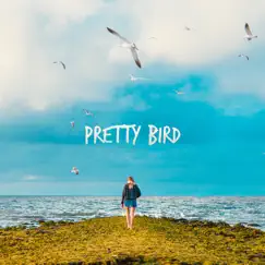 Pretty Bird - Single by Miles Hardt album reviews, ratings, credits
