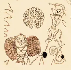 Rejoicing In the Hands by Devendra Banhart album reviews, ratings, credits