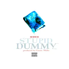 Stupid Dummy - Single by Soduh album reviews, ratings, credits