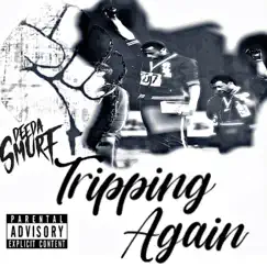 Tripping Again Song Lyrics