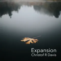 Expansion - Single by Christof R Davis album reviews, ratings, credits