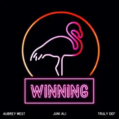 Winning (feat. Juni Ali) - Single by The Beat Ministry, Aubrey West & Truly Def album reviews, ratings, credits