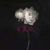 C.K.O. - Single album lyrics, reviews, download