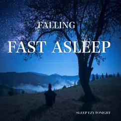 Falling Fast Asleep by Sleep Ezy Tonight album reviews, ratings, credits