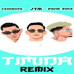 Timida (Remix) Song Lyrics