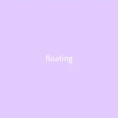 Floating - Single by Steezy Prime album reviews, ratings, credits