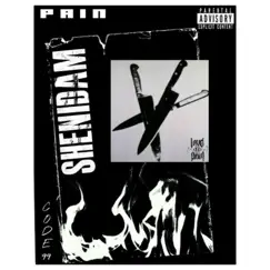 Shenidam - Single by Pain album reviews, ratings, credits