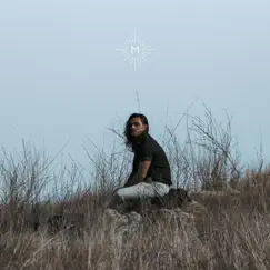 Wolf - Single by Saint Mesa album reviews, ratings, credits