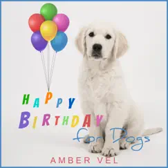 Happy Birthday for Dogs - Single by Amber Vel album reviews, ratings, credits