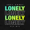 Lonely (VIP Mix) song lyrics