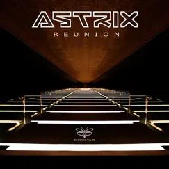 Reunion - Single by Astrix album reviews, ratings, credits