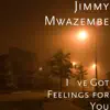 I've Got Feelings for You - Single album lyrics, reviews, download