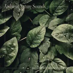 Ambient Atmosphere by Ambient Nature Sounds album reviews, ratings, credits
