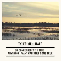 Anything I Want Can Still Come True - Single by Tyler Mehlhaff album reviews, ratings, credits