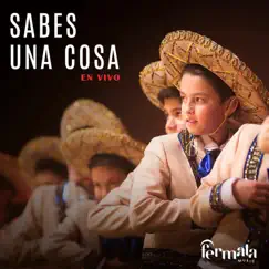 Sabes Una Cosa (feat. Fermaltos, Sebastián Ramirez, Mariachis Fernandez Uruguay & Fermata Music) [En vivo] Song Lyrics