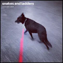 Snakes and Ladders - Single by Vice Like Grip album reviews, ratings, credits