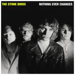 Nothing Ever Changes - Single by The Stone Birds album reviews, ratings, credits