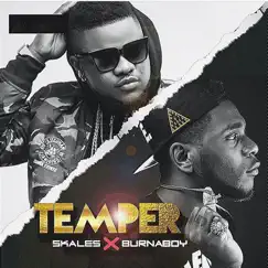 Temper (feat. Burna Boy) [Remix] - Single by Skales album reviews, ratings, credits