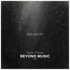 Meadow (feat. Dyllann, Mariana Baraj, Anat Porat, Mathias Kielholz & David Stauffacher) Song Lyrics
